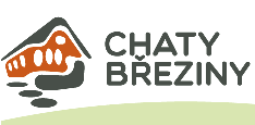 Primary Raster logo